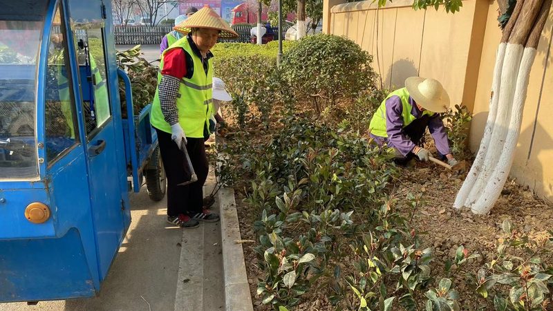 深圳绿植租摆，这些注意事项你了解吗？**