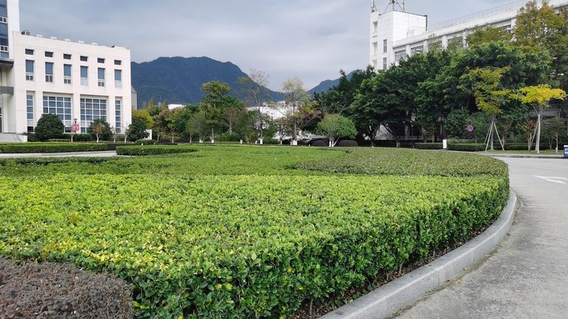 庭院防腐木设计，如何挑选靠谱公司？**