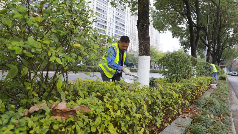 厂区绿化工程报价方案：解析关键要素与合理评估**
